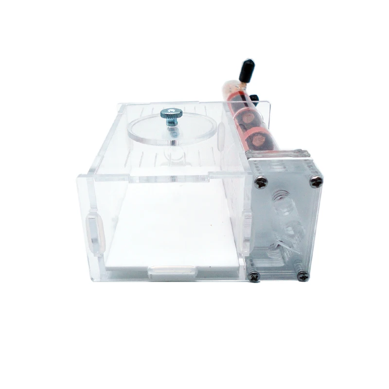 DIY Ant Farm 2 uds 18-180mm ni - Begonia Rex reseña y precio